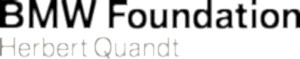 BMW Foundation Logo