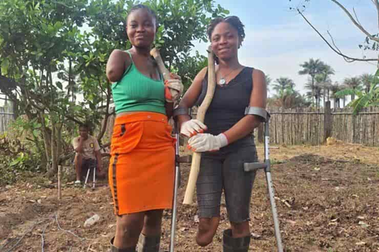 Image for How a farming programme in Sierra Leone helps amputees rebuild lives