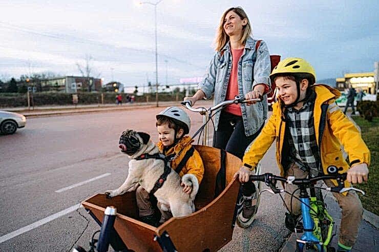 Image for What went right this week: global road safety progress, plus more